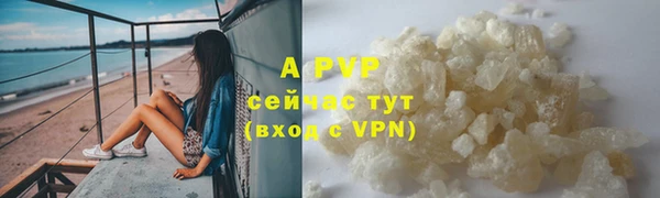 a pvp Аркадак