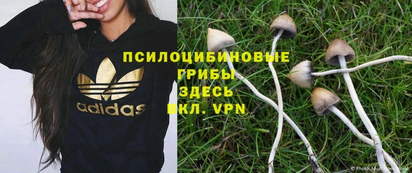 шишки Нея