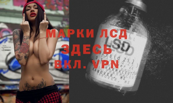 a pvp Аркадак